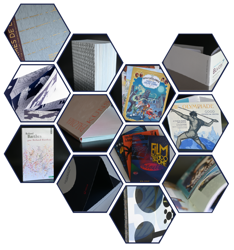 Nos Projets (Montage Hexagone)
